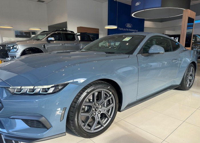 FORD 
                                                            for Sale for Sale